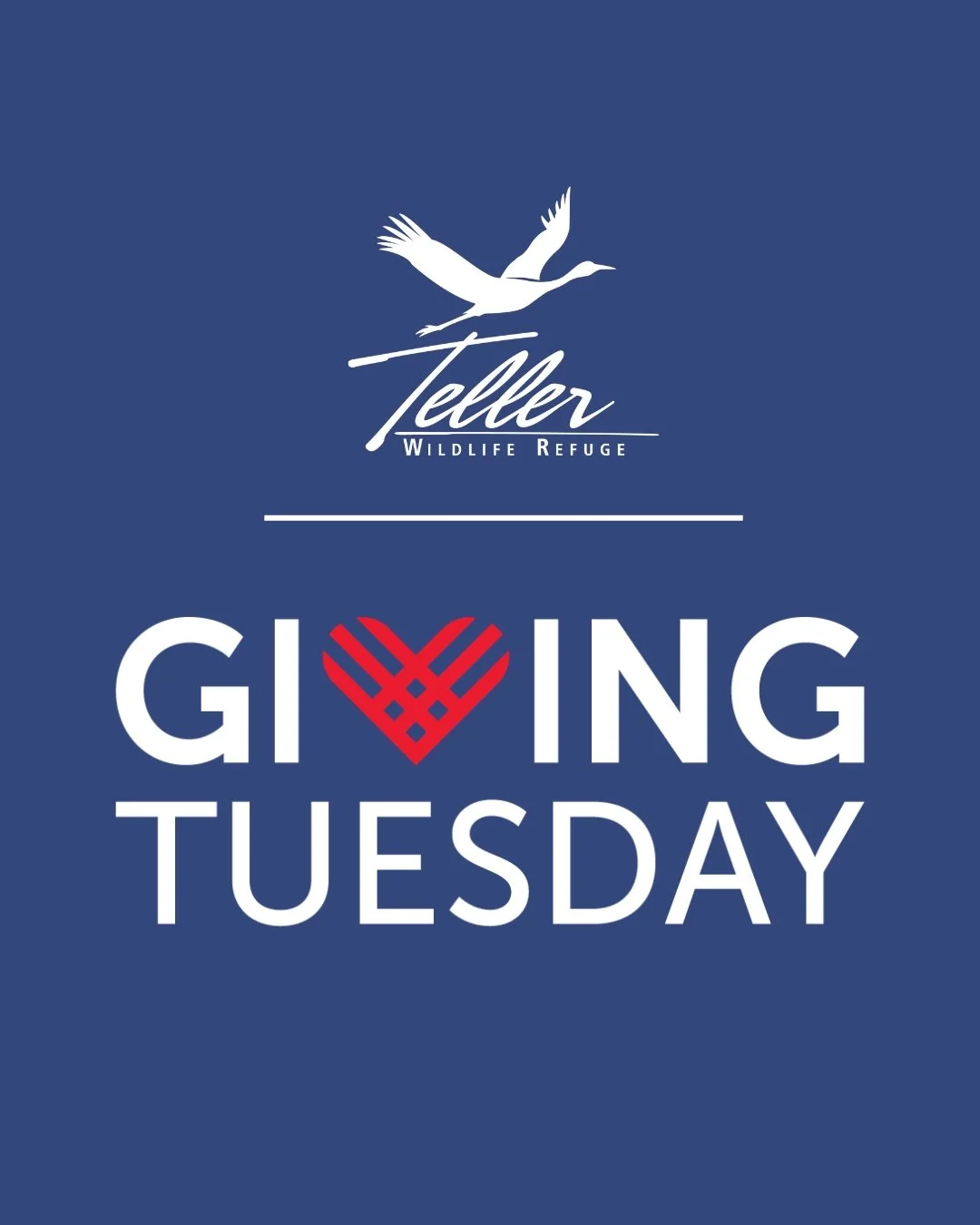 On this Giving Tuesday, we&rsquo;re celebrating what your support makes possible at Teller. Every donation, big or small, helps protect wildlife, support hands-on conservation education programs, and ensure that Teller remains a place where conservat