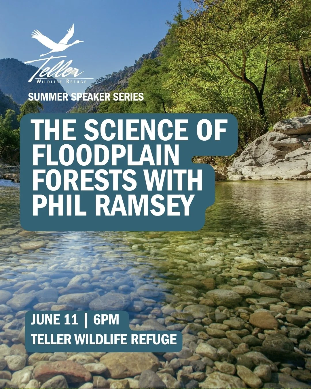 Join MPG Ranch Lead Scientist, Phil Ramsey, on June 11 for a walk through the Teller Wildlife Refuge floodplain!

Learn how rivers shape forests, soils, and wildlife habitat, and why cottonwood forests depend on the natural movement of water and sedi