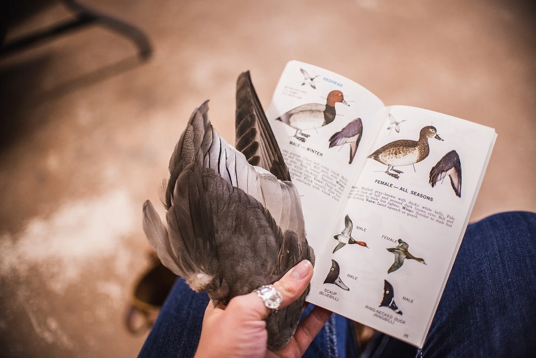 WaterfowlWKND-1.jpg