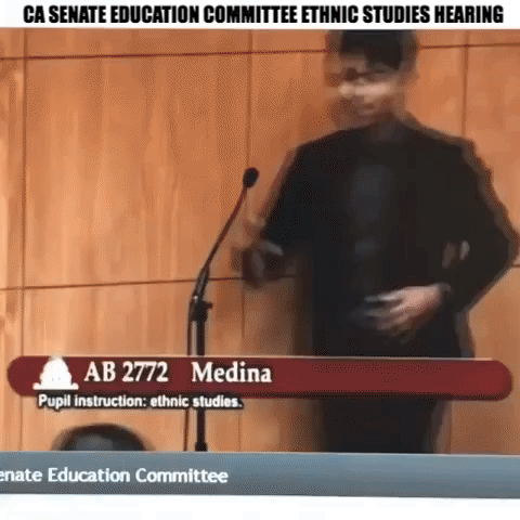 Ethnic Studies Hearing.gif