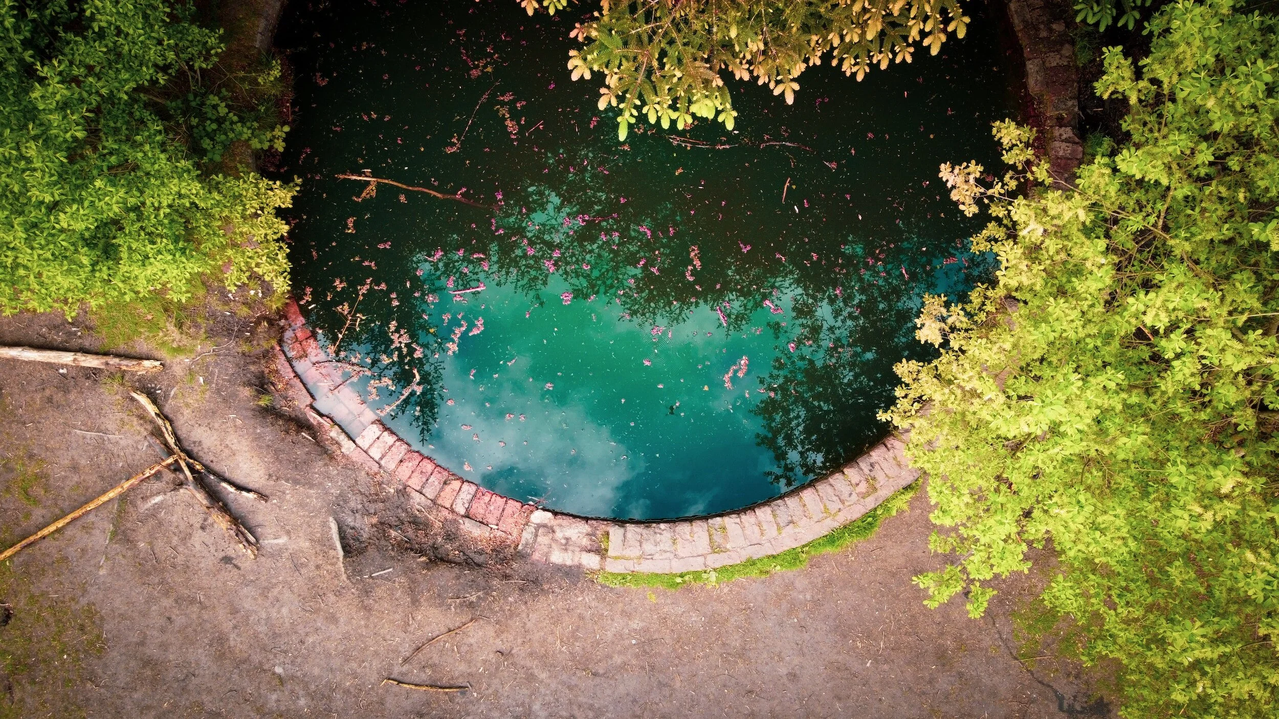 What are Natural Swimming Pools?