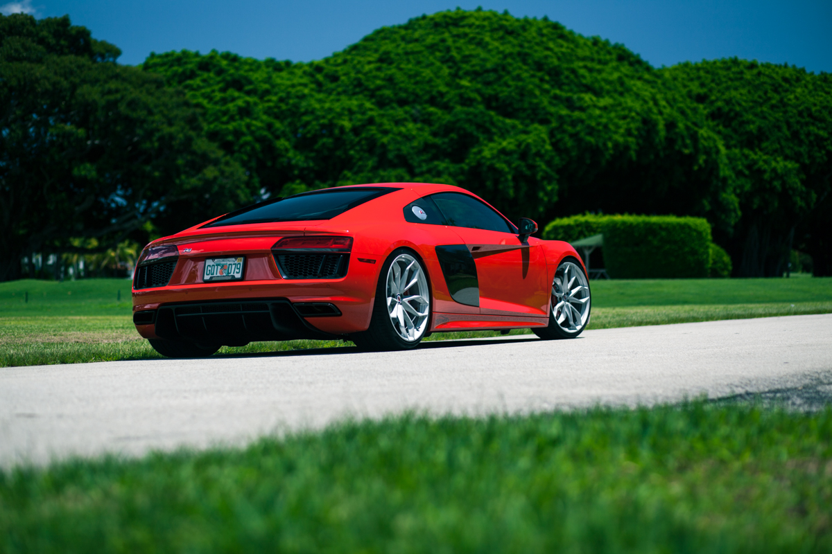 IMG_7649-edit1200.jpg