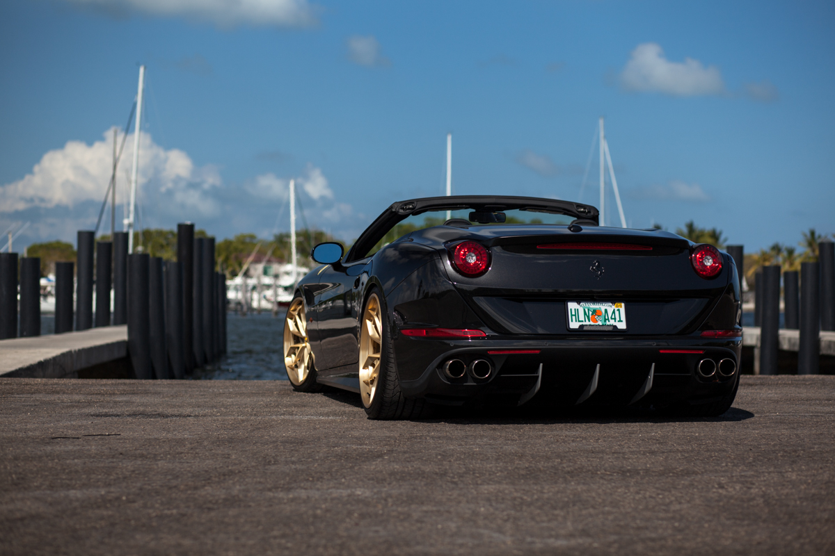IMG_0762-edit1200.jpg