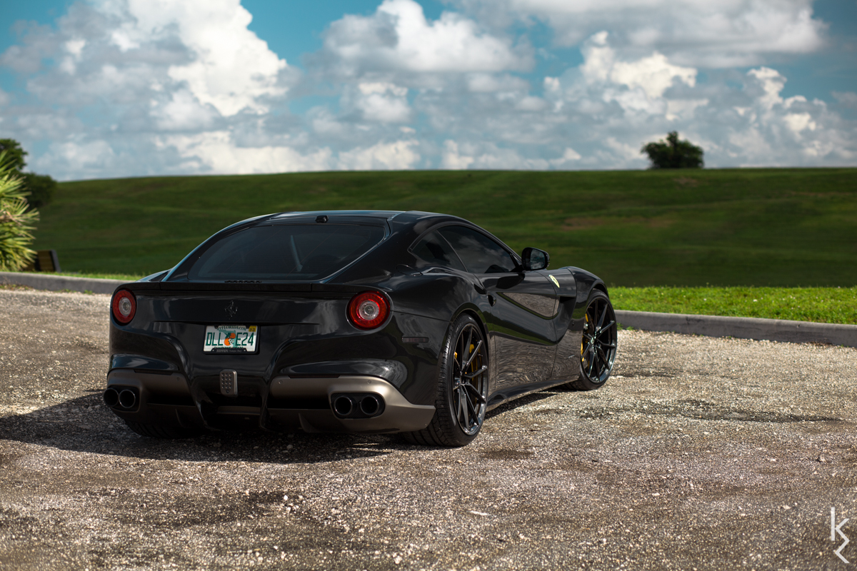 IMG_4009-Edit-edit1.jpg