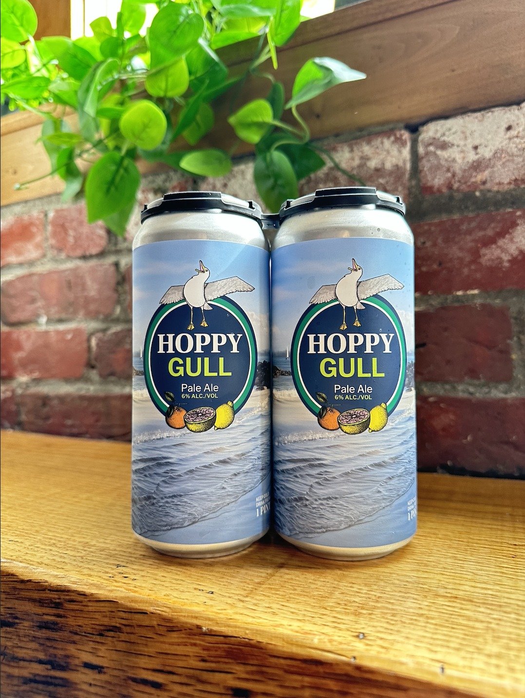 CALLING ALL GULL 2024 GRADUATES! We partnered with our neighbors at Endicott College to bring you Hoppy Gull! This pale ale is hazy and juicy, with mild hop bitterness and notes of bright citrus-- grapefruit and orange zest, with a hint of lemon. Com