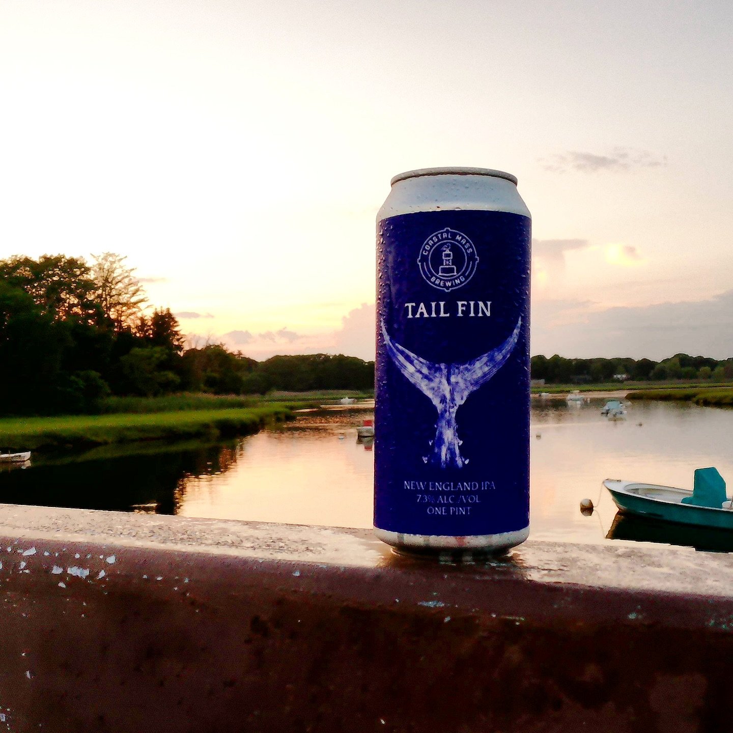 TAILFIN GOT A GLOW UP!! 

We got a fresh batch of Tailfin for ya this week, come by and check out the new label and have a pint in our Taproom today from 3-10pm to get out of this heat! 

#brewery #tailfin #craftbeer #sunset #northshore #beverly #dri