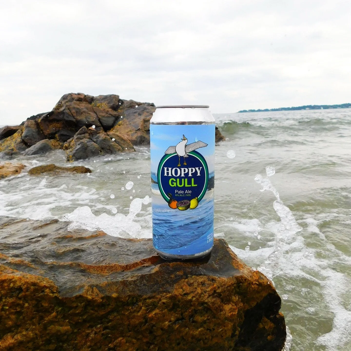 CALLING ALL ENDICOTT GULLS! Hoppy Gull is BACK just in time for Homecoming! Stop by the Taproom from 3-10pm tomorrow to pick up your Gulltastic four pack! 🍻

This pale ale, developed with Endicott College, is hazy and juicy, with mild hop bitterness