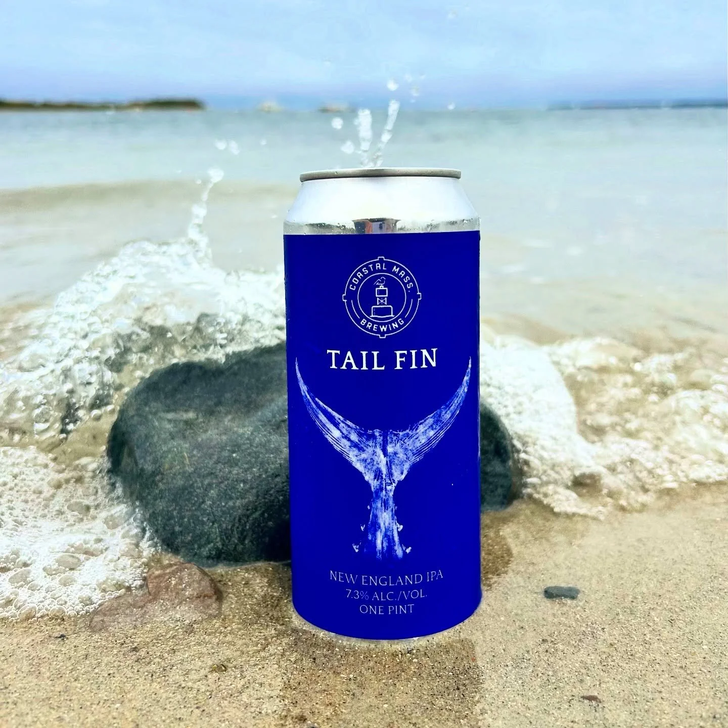 TAILFIN CANS ARE BACK! 
💙💙💙
We know it&rsquo;s been a minute since we&rsquo;ve had cans of everyone&rsquo;s favorite beer, so we made more! Come in today from 3-10pm and grab a draft pour and leave with a freshly packaged four pack of Tailfin! See