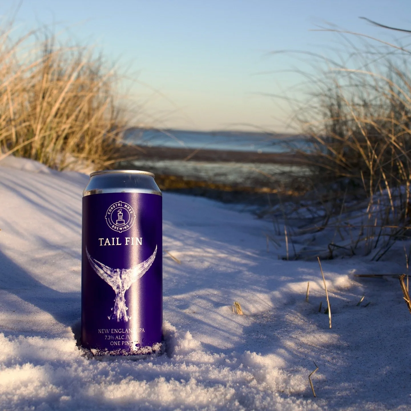 Well folks, welcome to the lost week and the last weekend of the year! We made it! Let&rsquo;s celebrate by grabbing a drink at your favorite brewery from 3-10pm. We know you&rsquo;re dying to get out of the house and we&rsquo;re dying to serve you. 