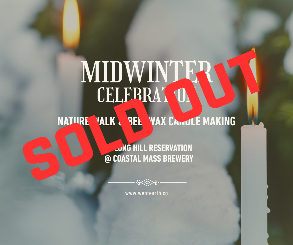 SOLD OUT Midwinter Celebration: Beeswax Candles