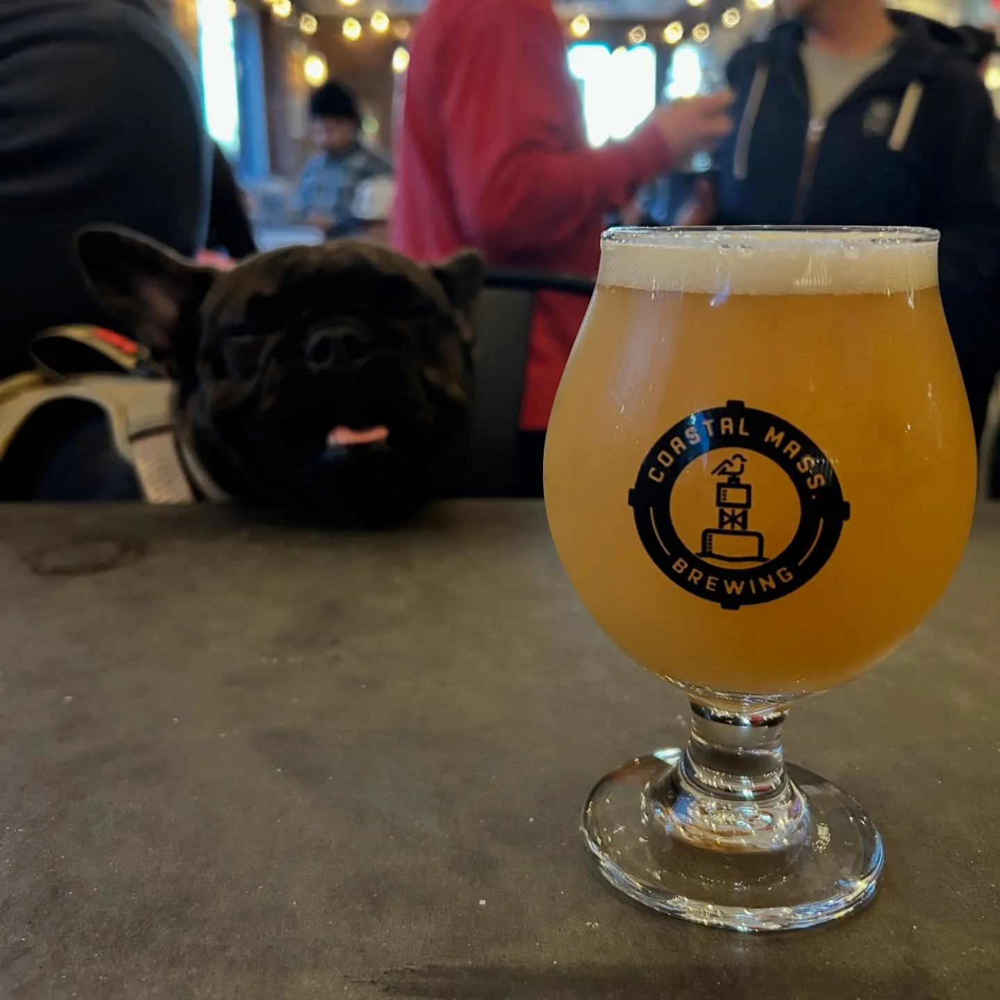 Need some hair of the dog today? Come grab a beer with us from 3-10pm Cheers!

#craftbeer #drinklocal #shopsmall #beverly #brewery