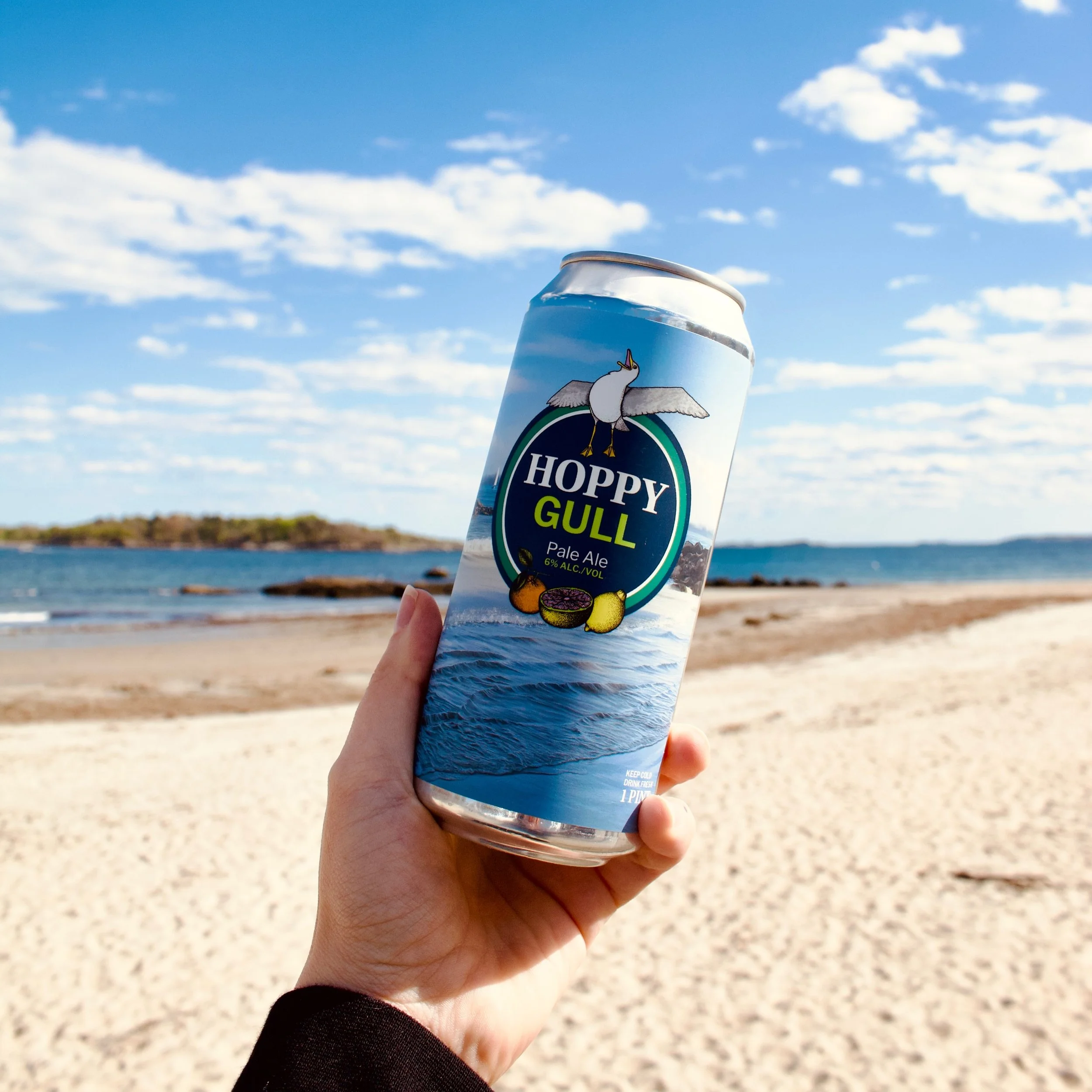 CALLING ALL CLASS OF 2026 GULLS🗣️ 🗣️ 🗣️

Hoppy Gull Pale Ale is back just in time for commencement! Pick up this taproom exclusive starting tomorrow at 3pm and celebrate your accomplishments the Coastal Mass way! This Gulltastic beer is only avail