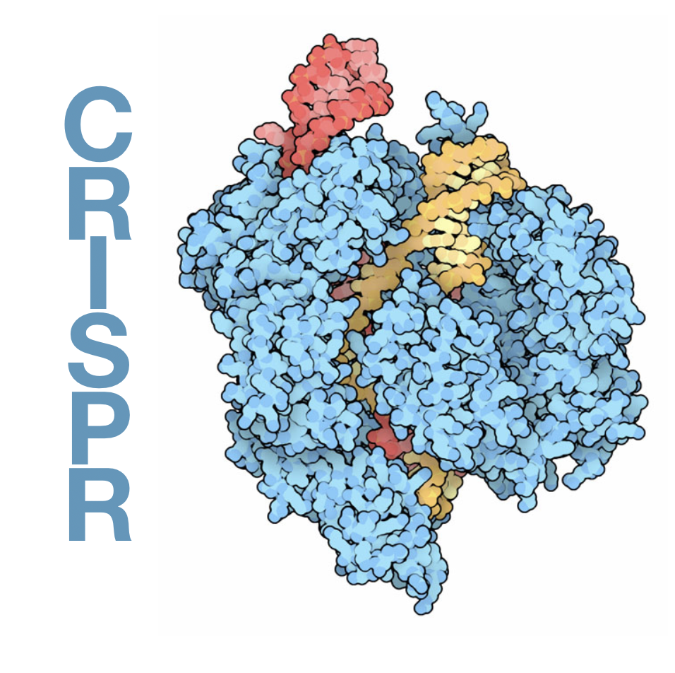 CRISPR.png