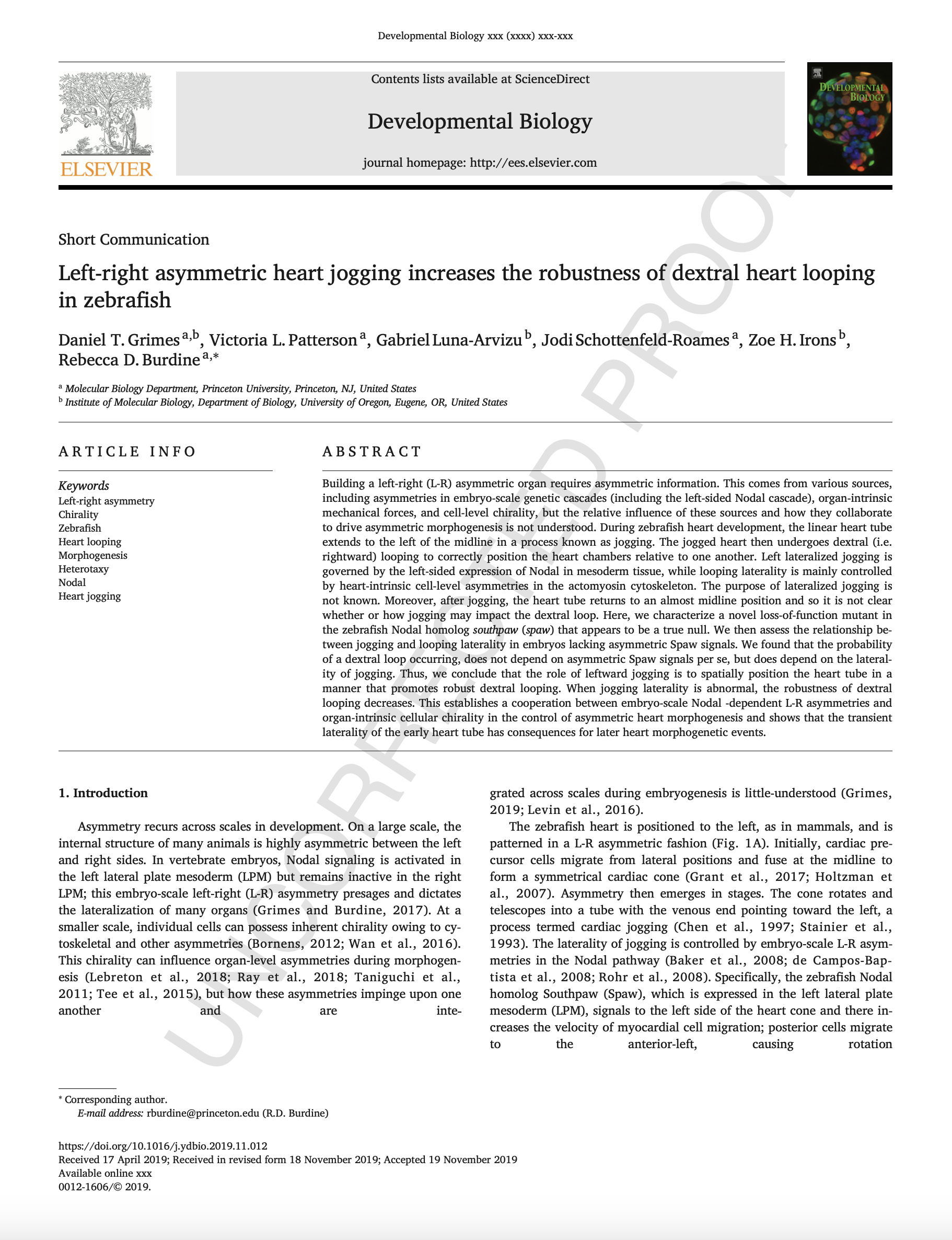 Nov 2019: Article published about heart asymmetry