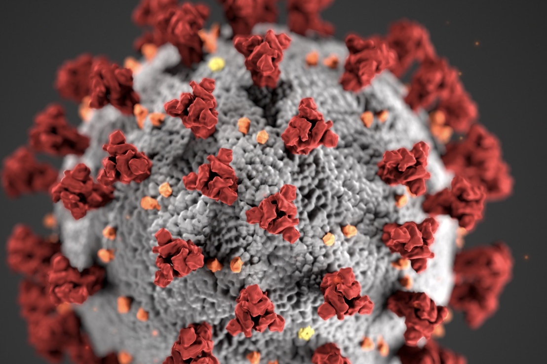 March 2020: The lab closes its doors