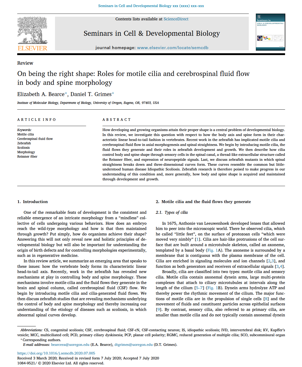 July 2020: Review article on cilia and body shape published