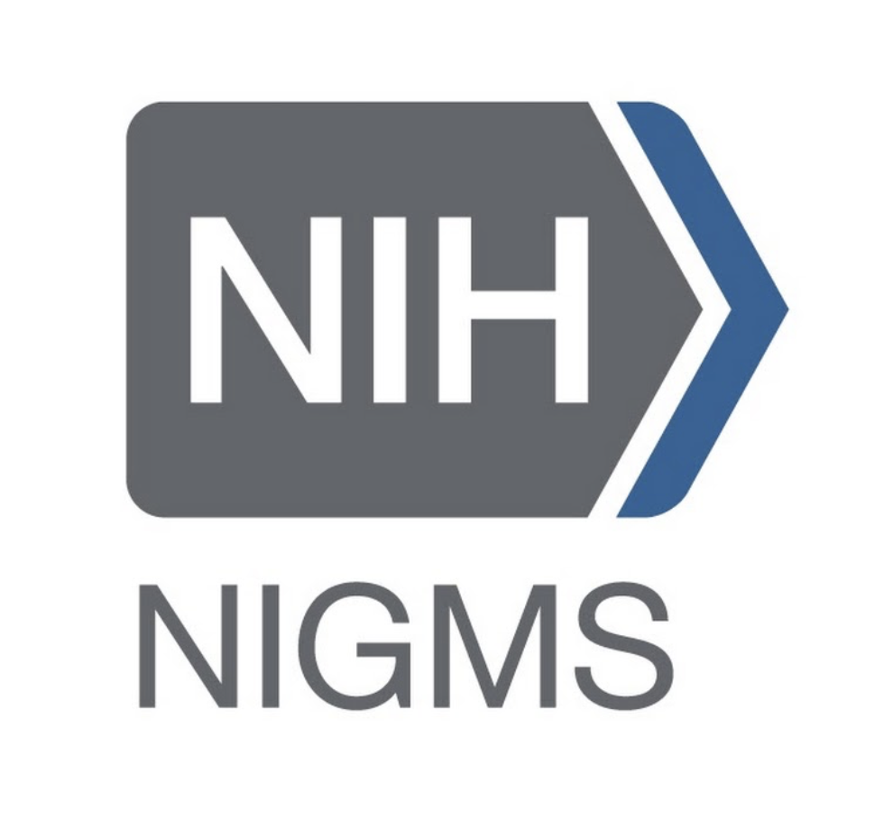 July 2021: The lab is awarded NIH MIRA funding