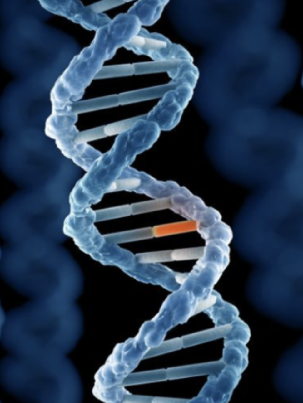 Sep 2021: Dan's course recognized for excellence in universal design