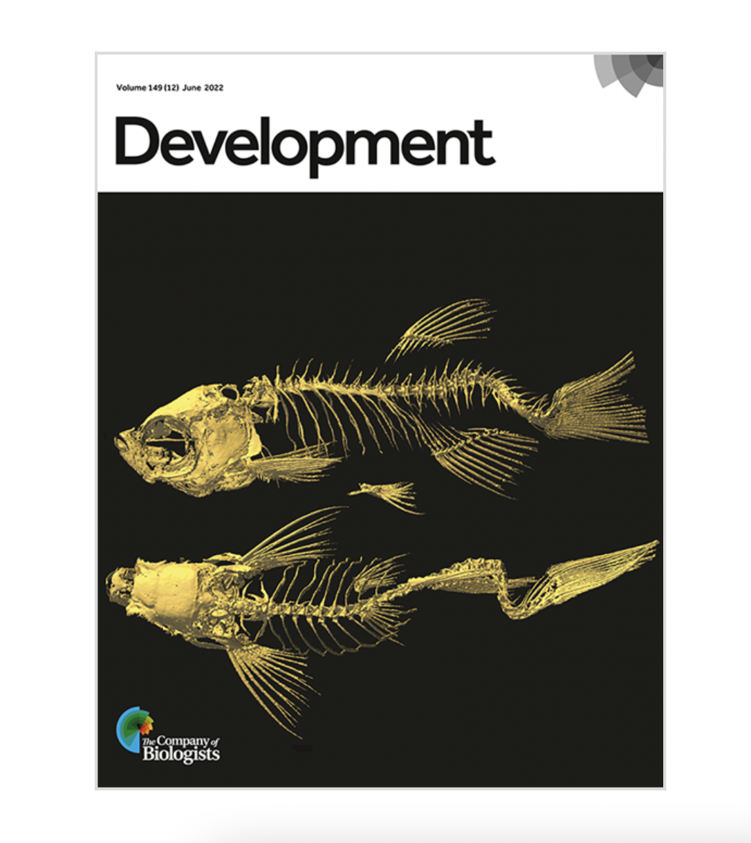 June 2022: Our work is featured on the cover of Development