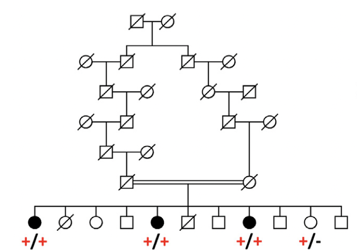 Sep 2022: Latest work published in Genetics in Medicine