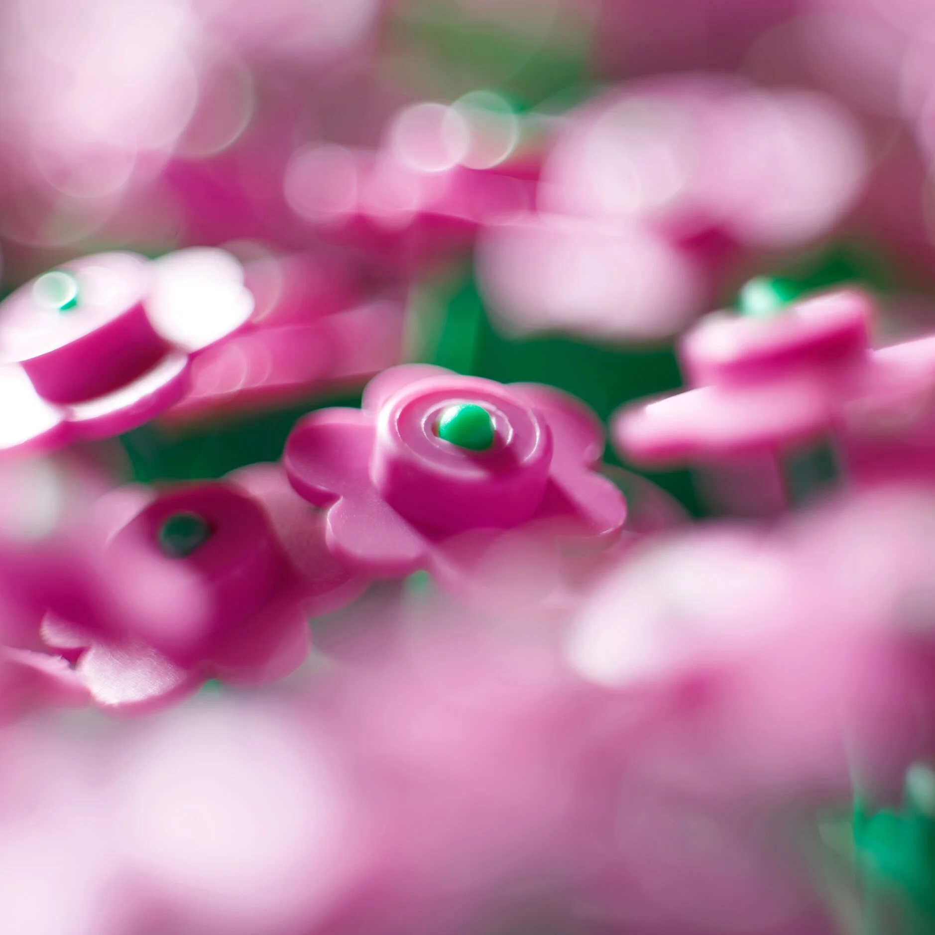LegoFlowers_Field_Multi_00029.jpg