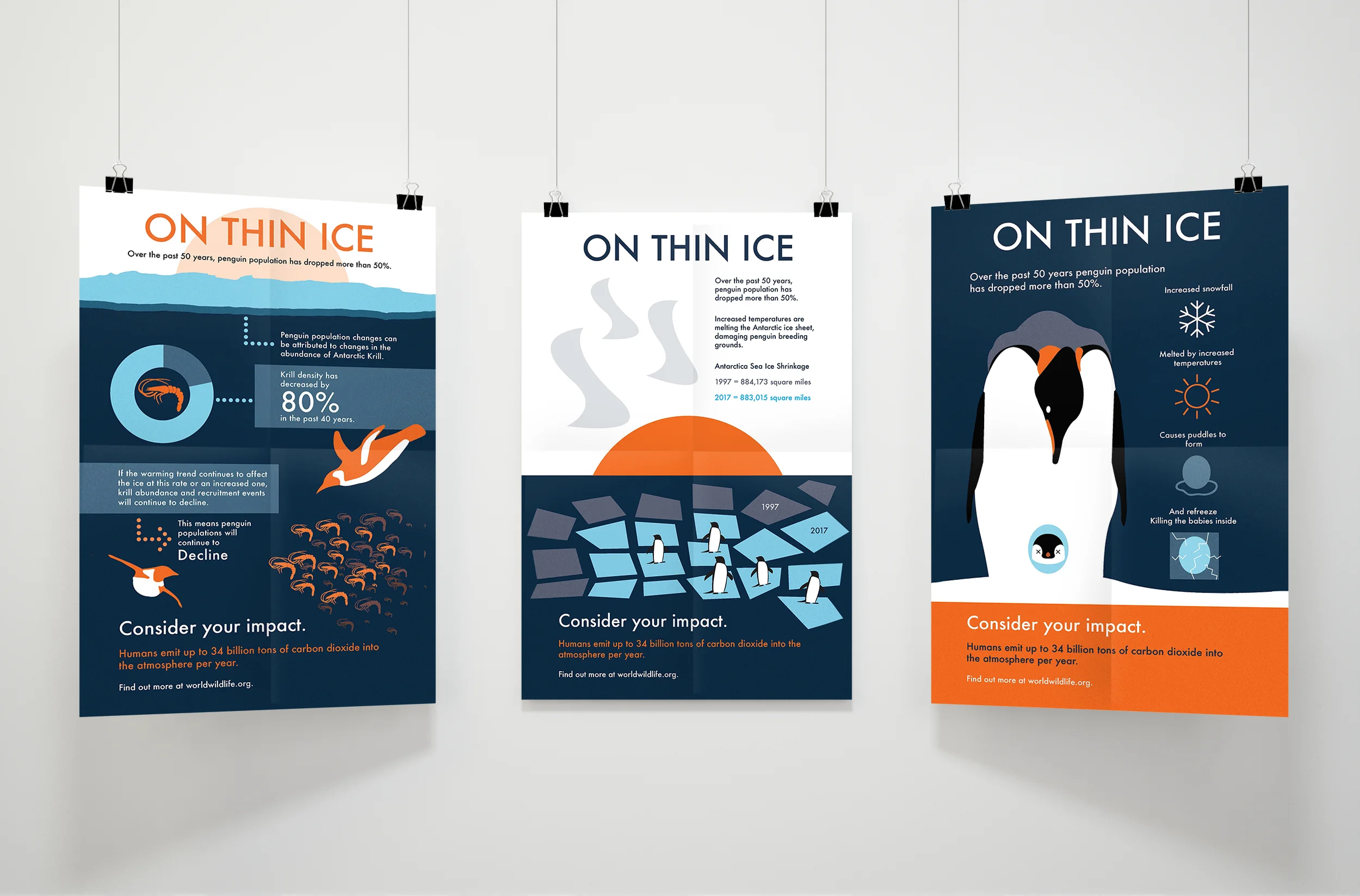 infographic mock.jpg