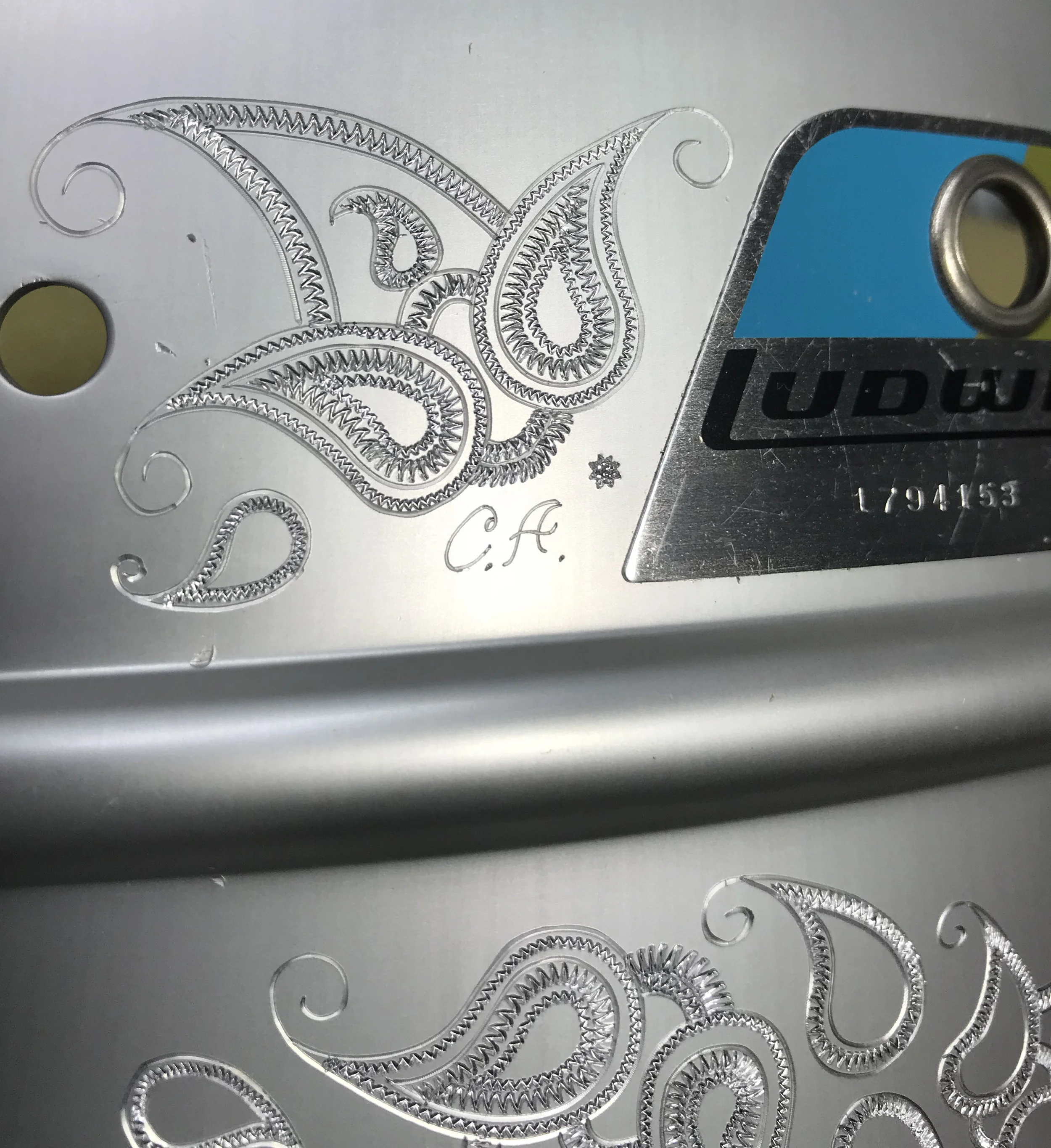 Carlos' Paisley
