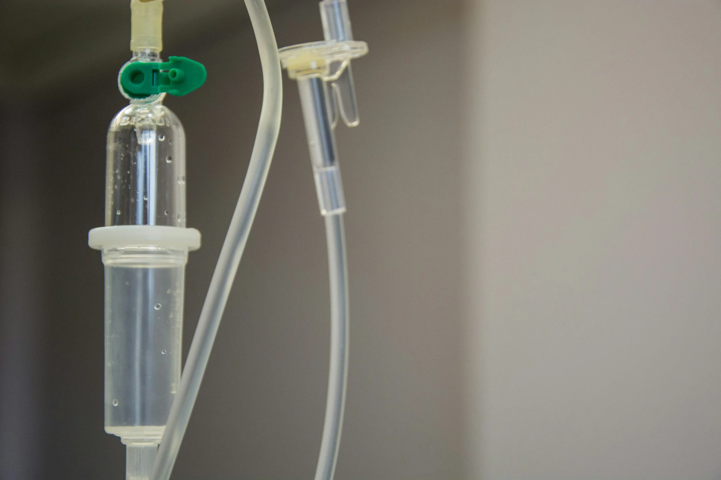Chemotherapy for Dogs: What to Expect