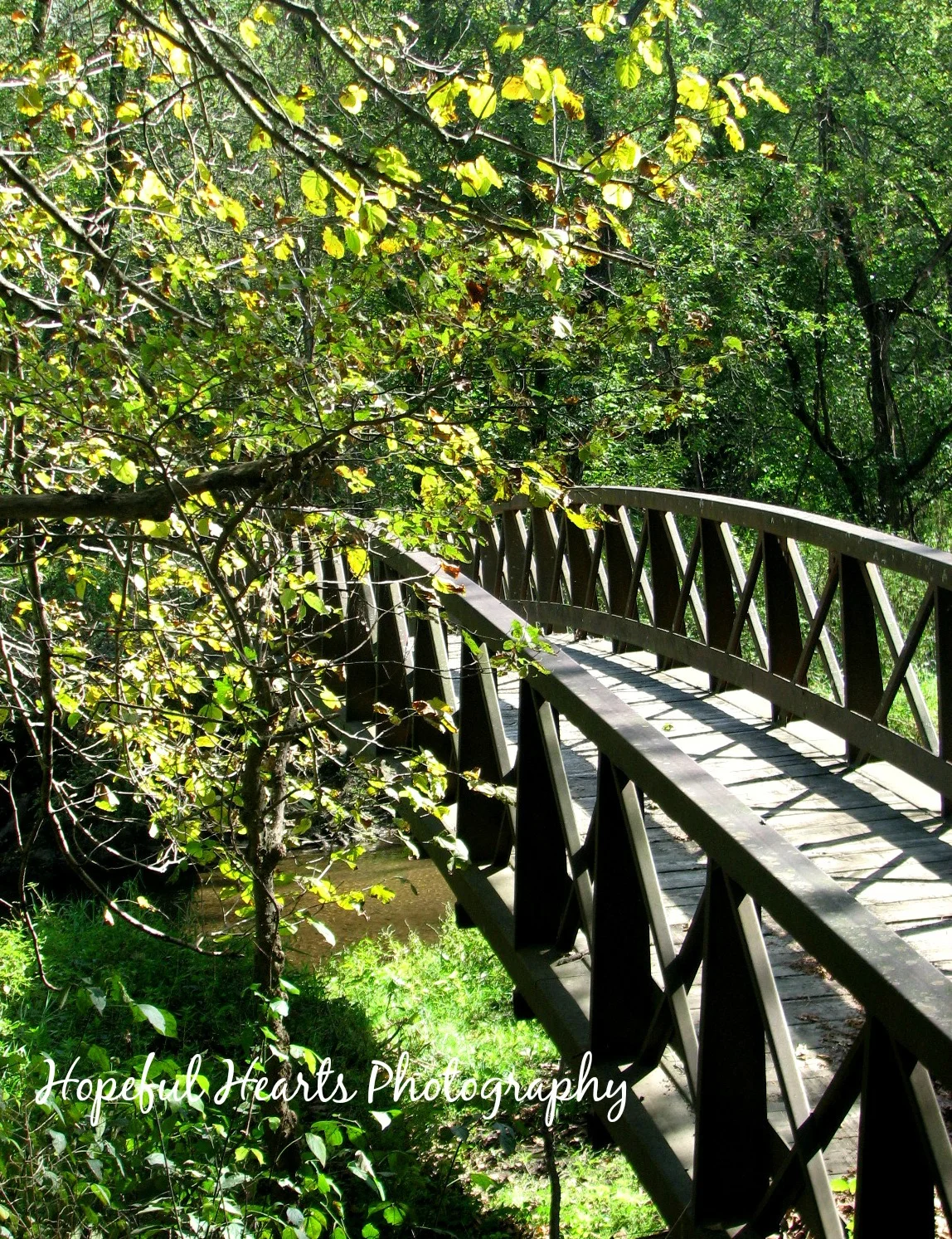 Bridge, hh sig.jpg
