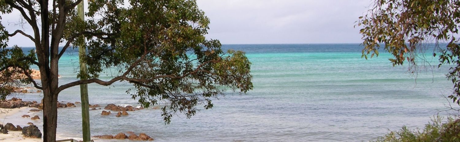 sea.jpg