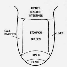 diagnosis-of-tongue.jpg
