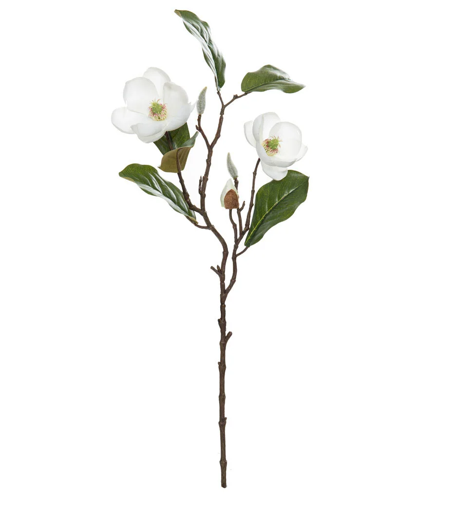Chinese Magnolia Spray