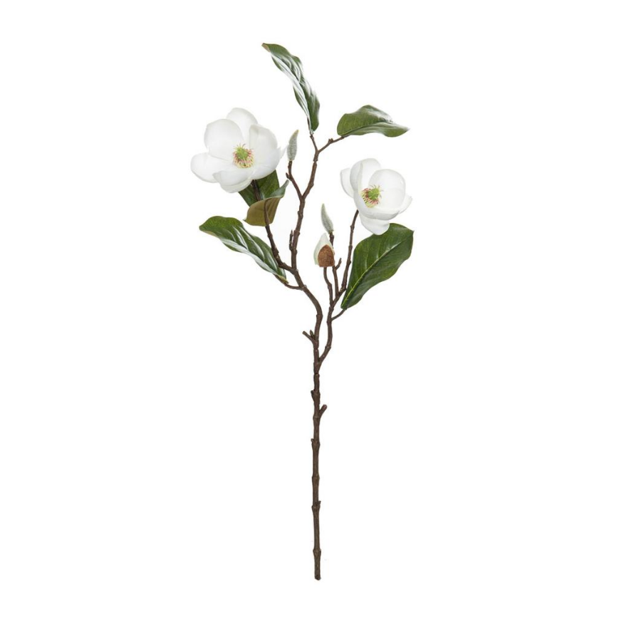 Jazz-Hotel-Home-Chinese-Magnolia-Spray-png.png
