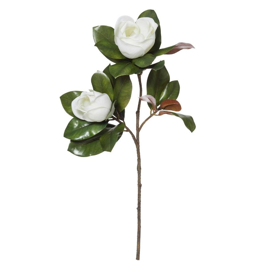 Jazz-Hotel-Home-Magnolia-Flower-Leaves-png.png