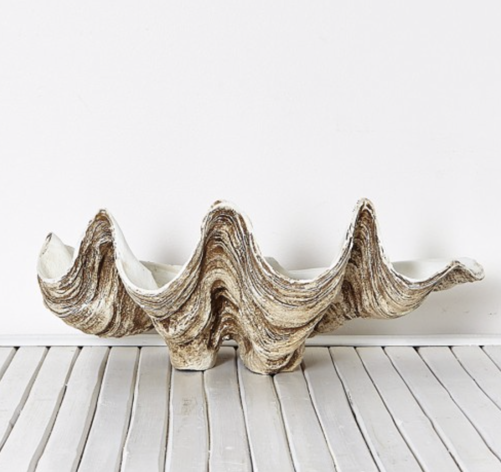 Clam