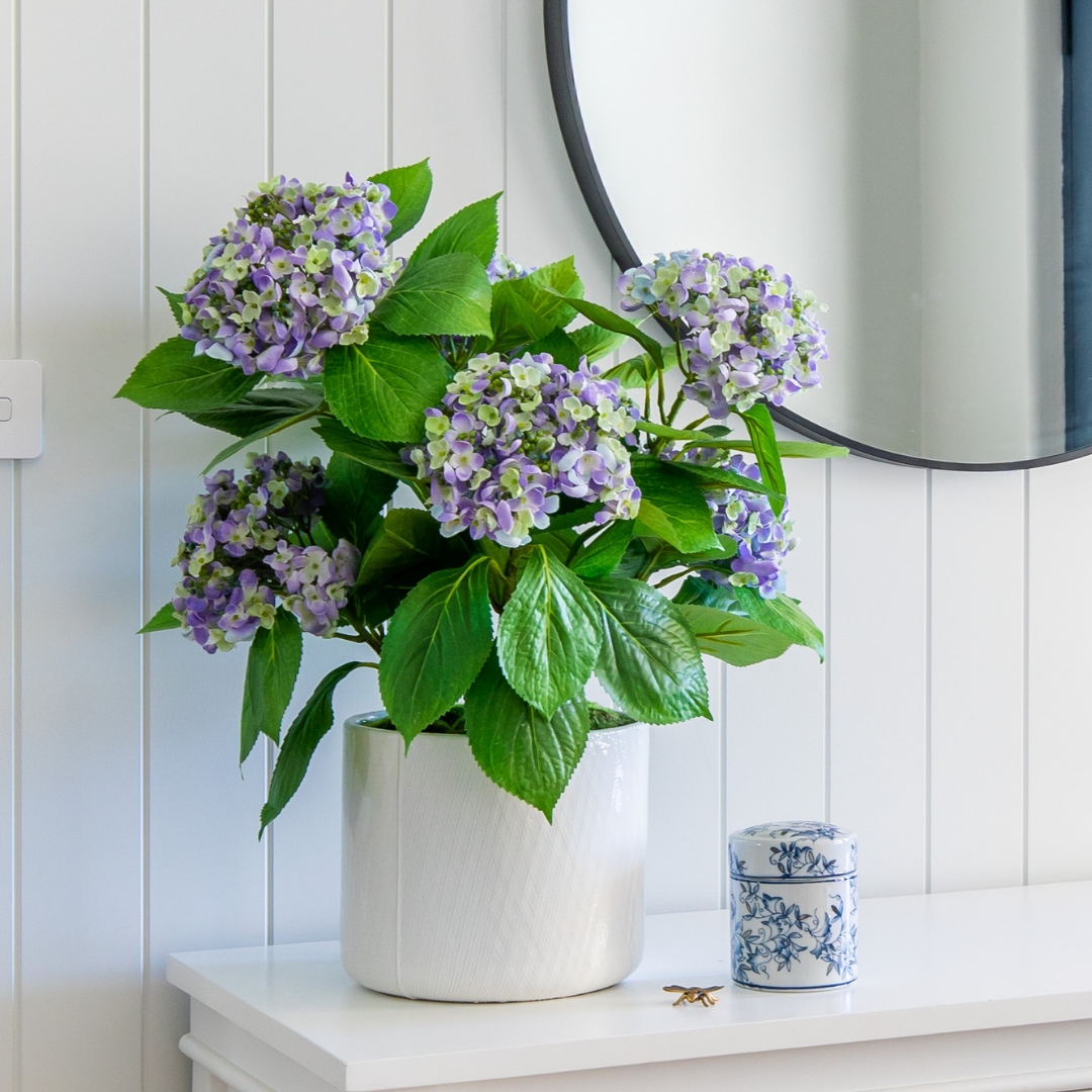 FLORAL ARRANGEMENTS + PLANTS