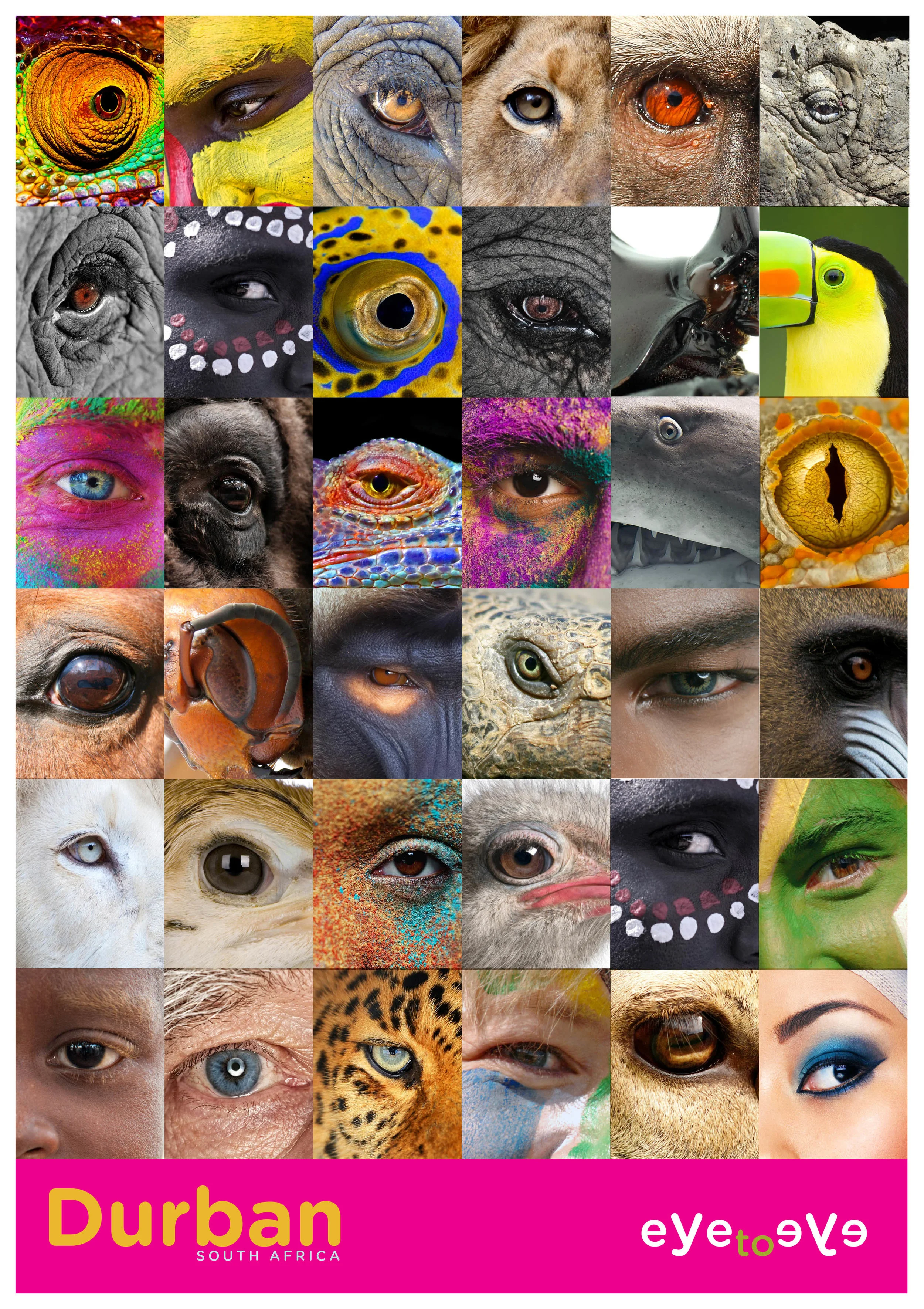 eye to eyeA.jpg