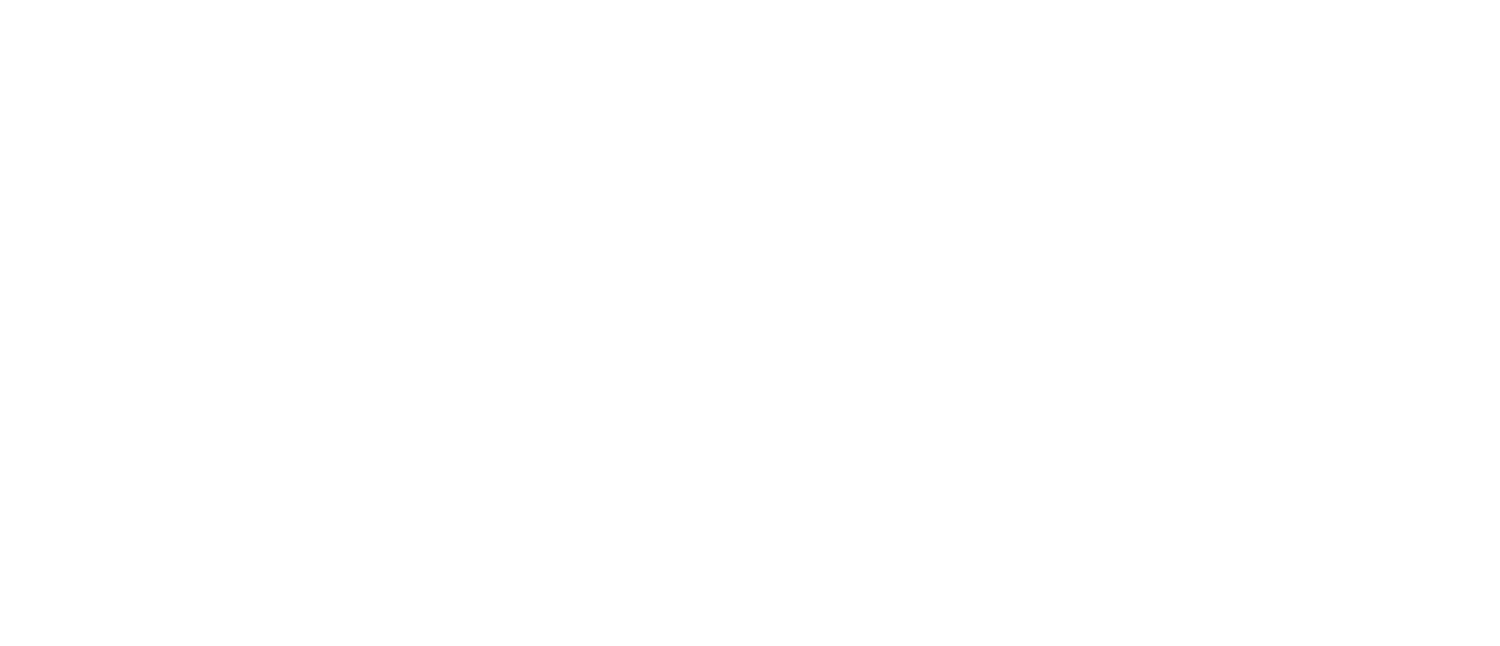 Nemo's Detroit