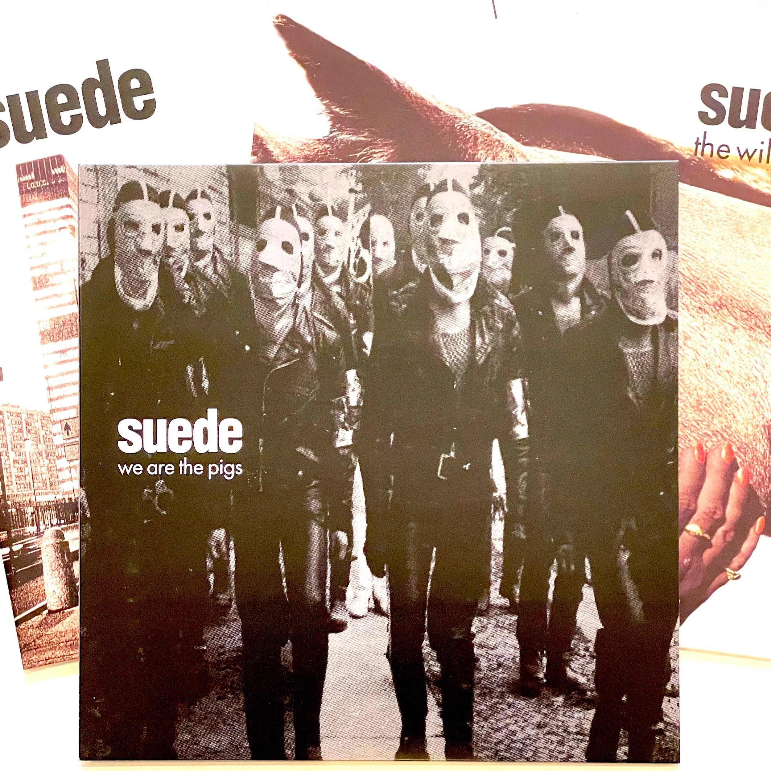 Suede+Dog+Man+Star+Super+Deluxe+Box+9.jpg