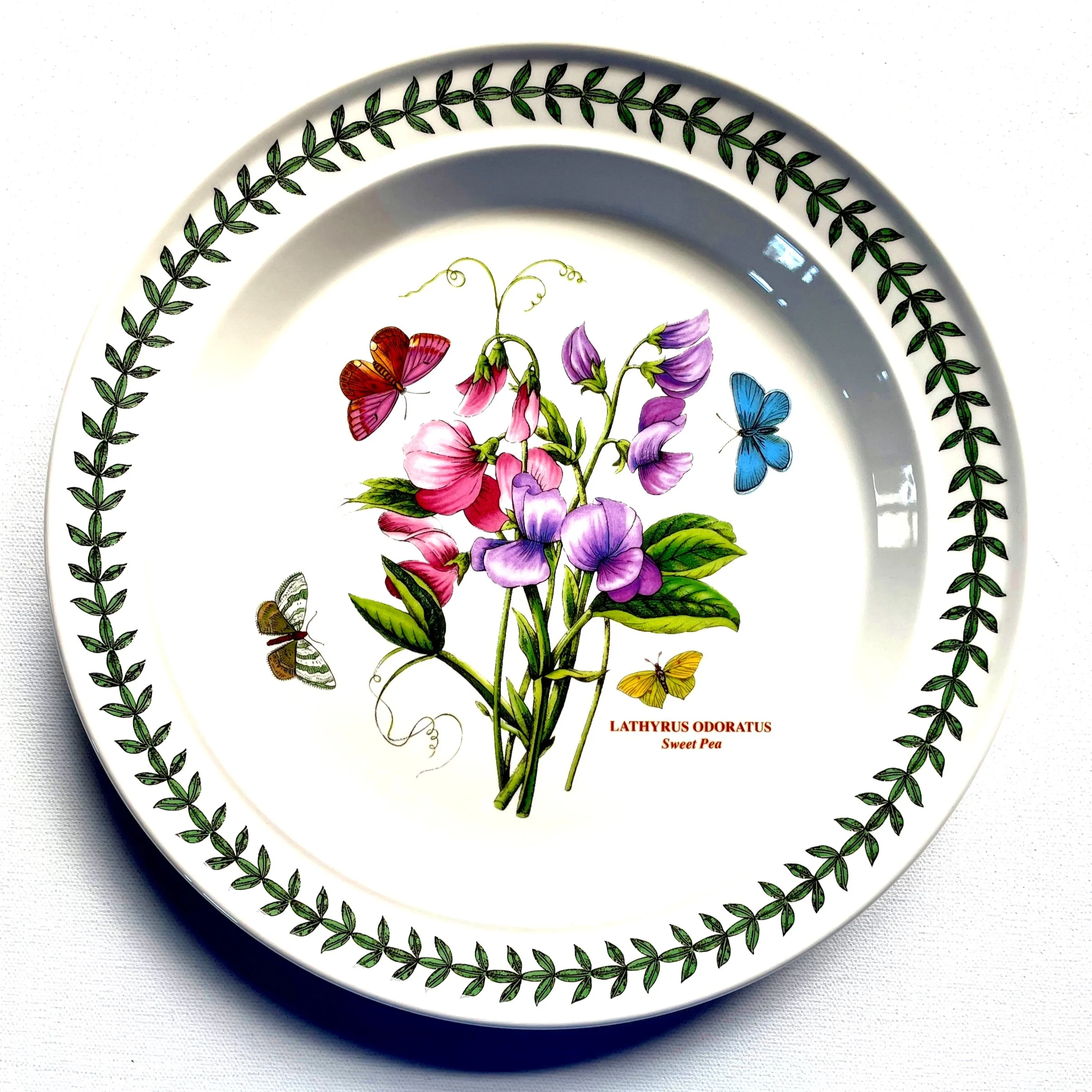 Portmeirion+Botanic+Dinner+Plate+5.jpg