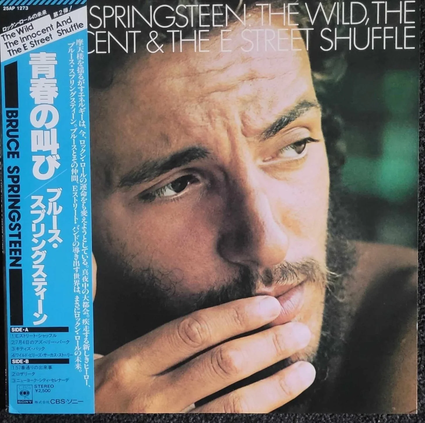 Bruce%2BSpringsteen%2BThe%2BWild.jpg