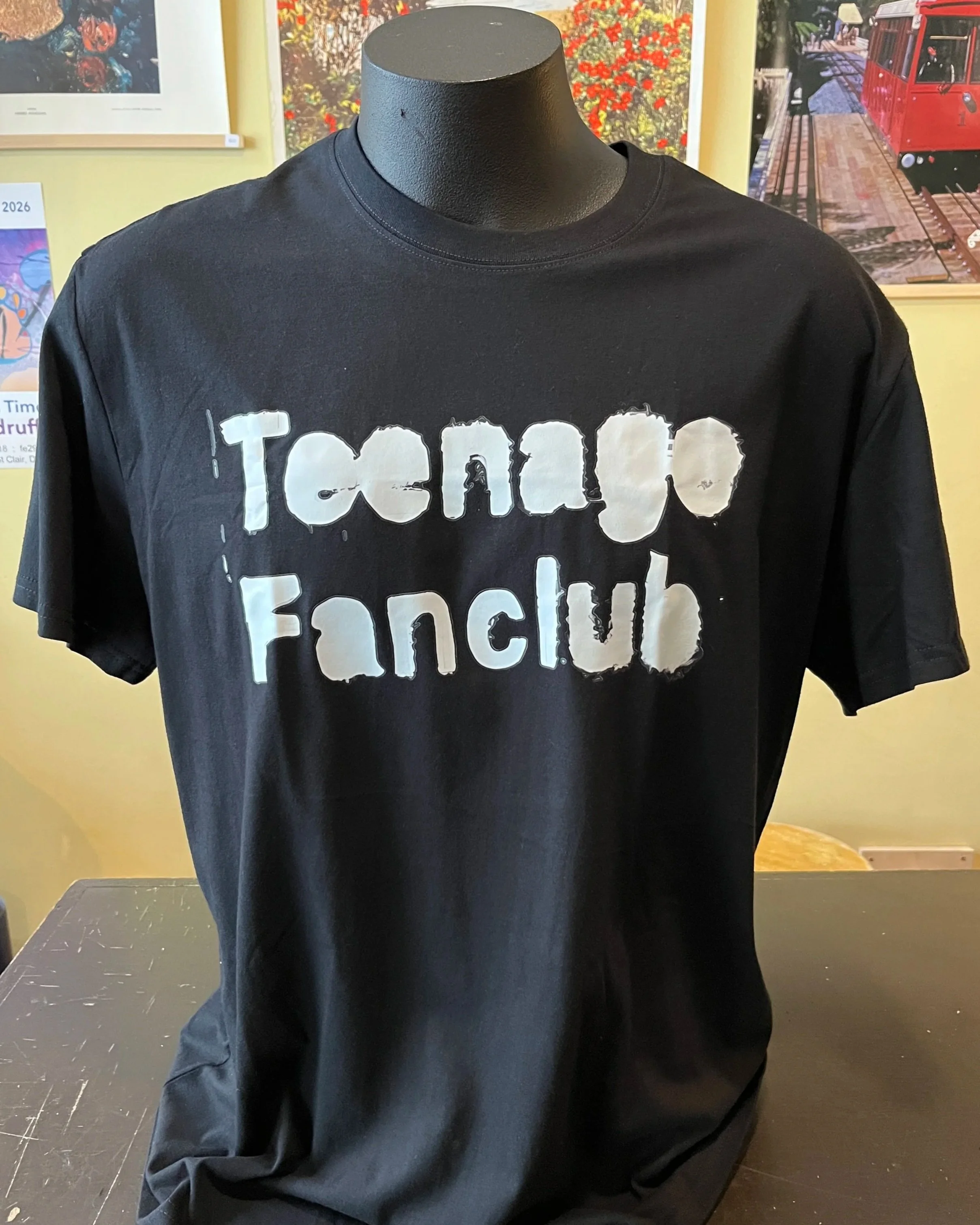 Teenage+Fanclub+Stencil+tee.jpg
