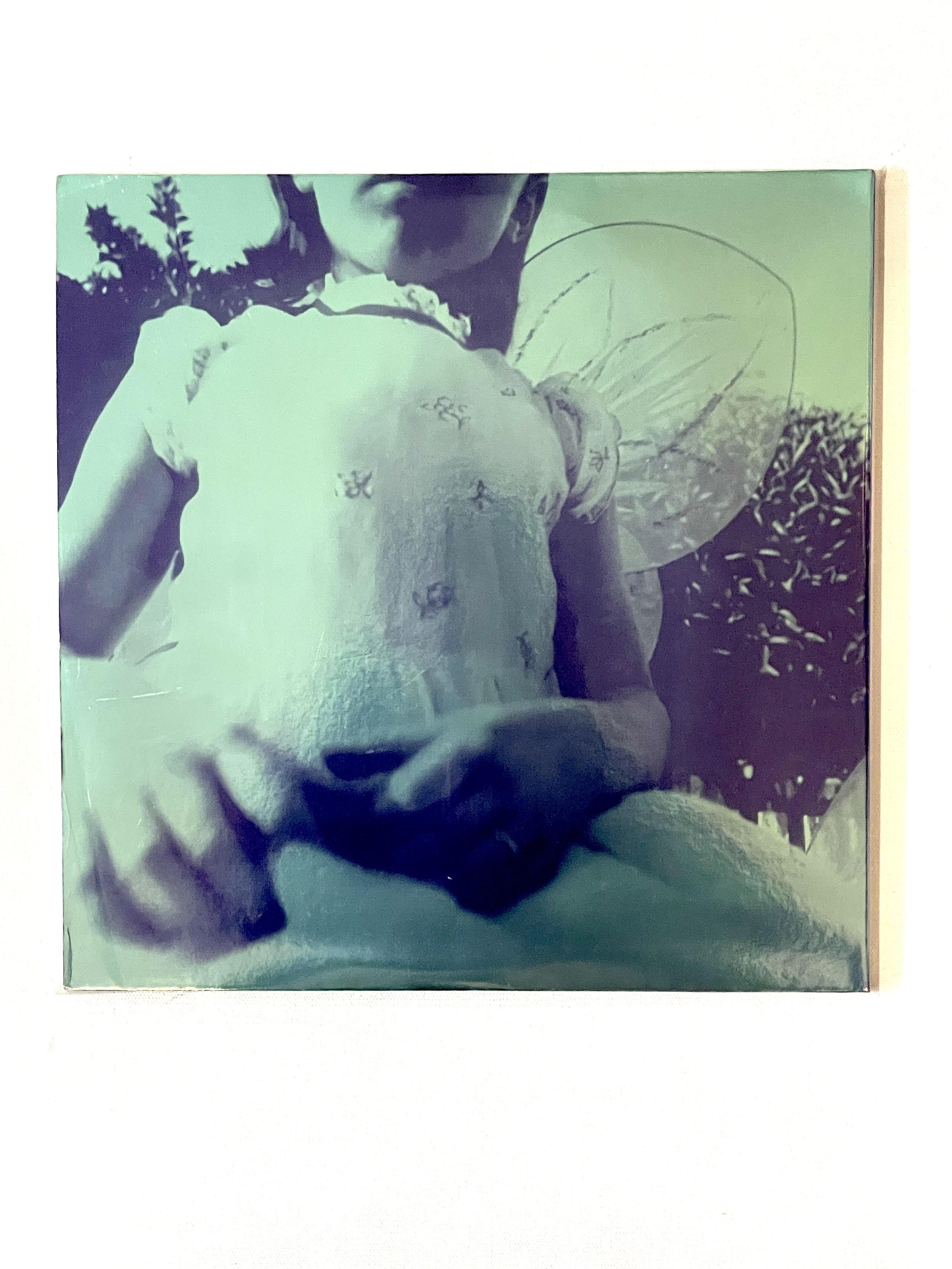 Smashing Pumpkins Siamese Dream 2 LP (4).jpeg