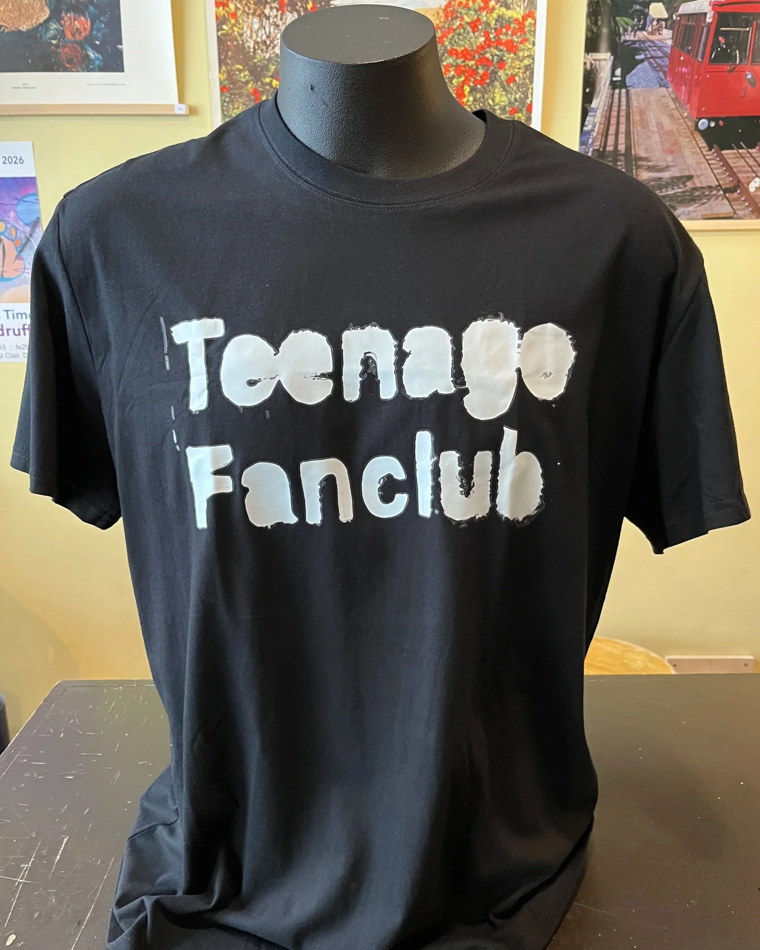 Teenage+Fanclub+Stencil+tee.jpg