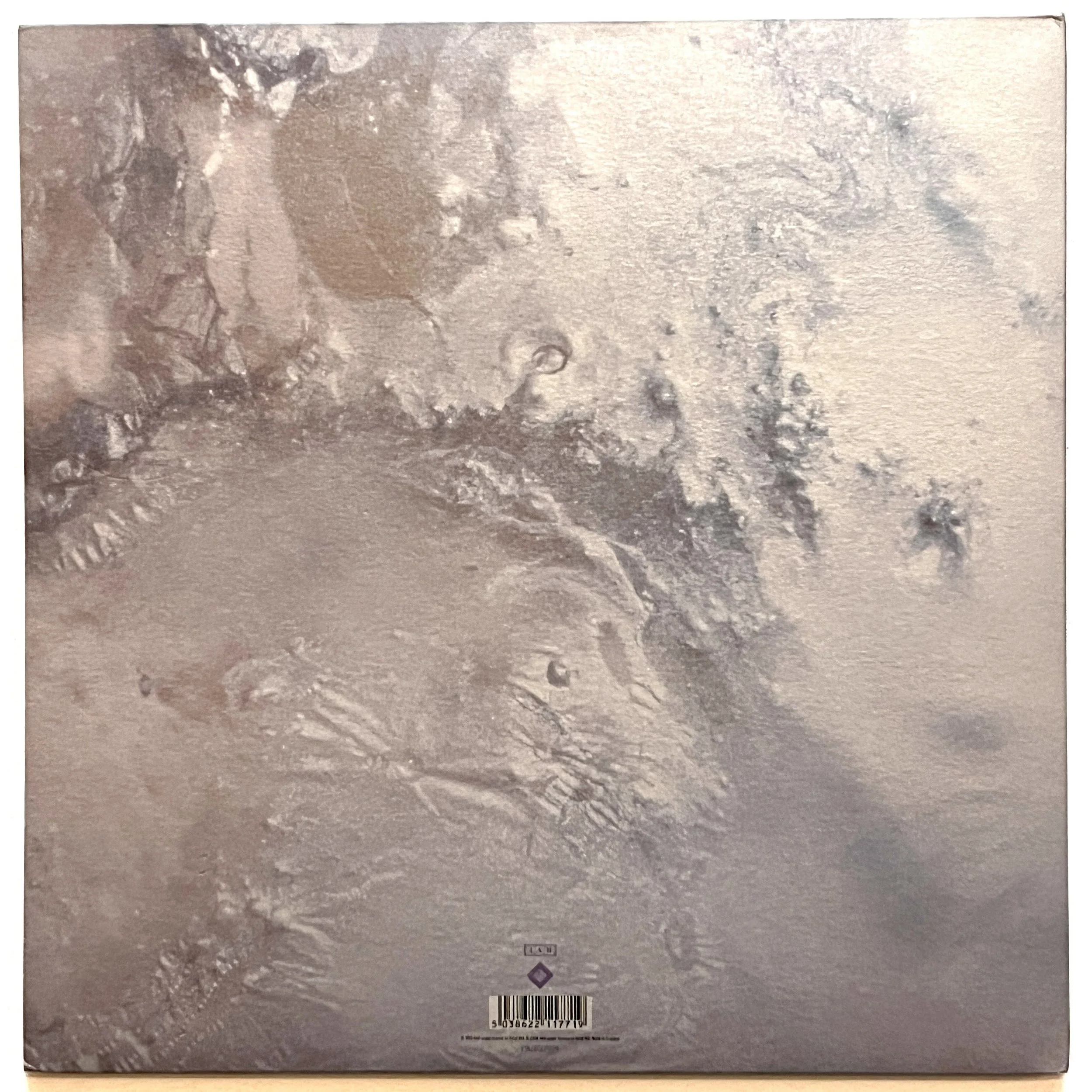 Cocteau's Head Over Sunburst 2LP 3.jpeg