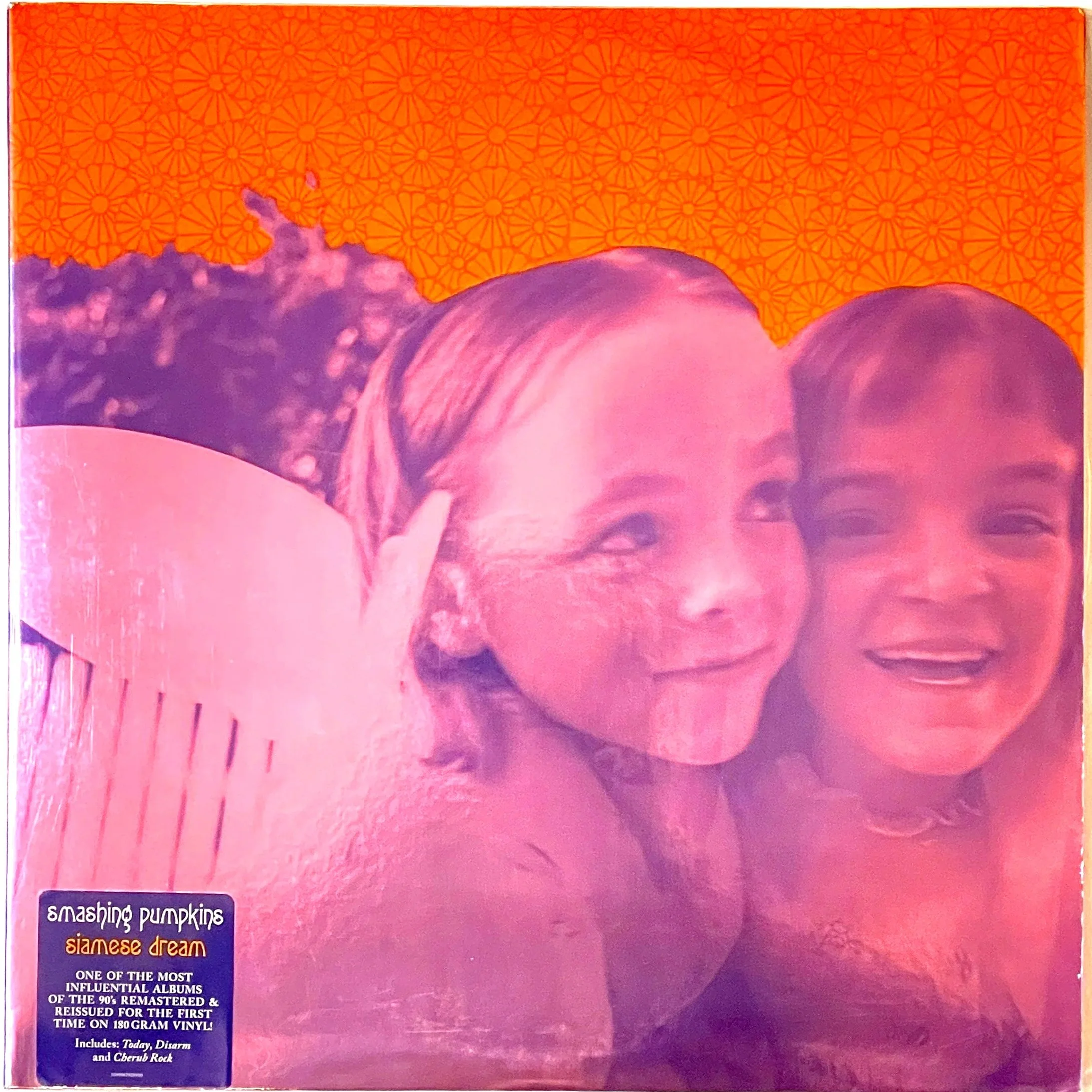 Smashing+Pumpkins+Siamese+Dream+2+LP+%282%29.jpg