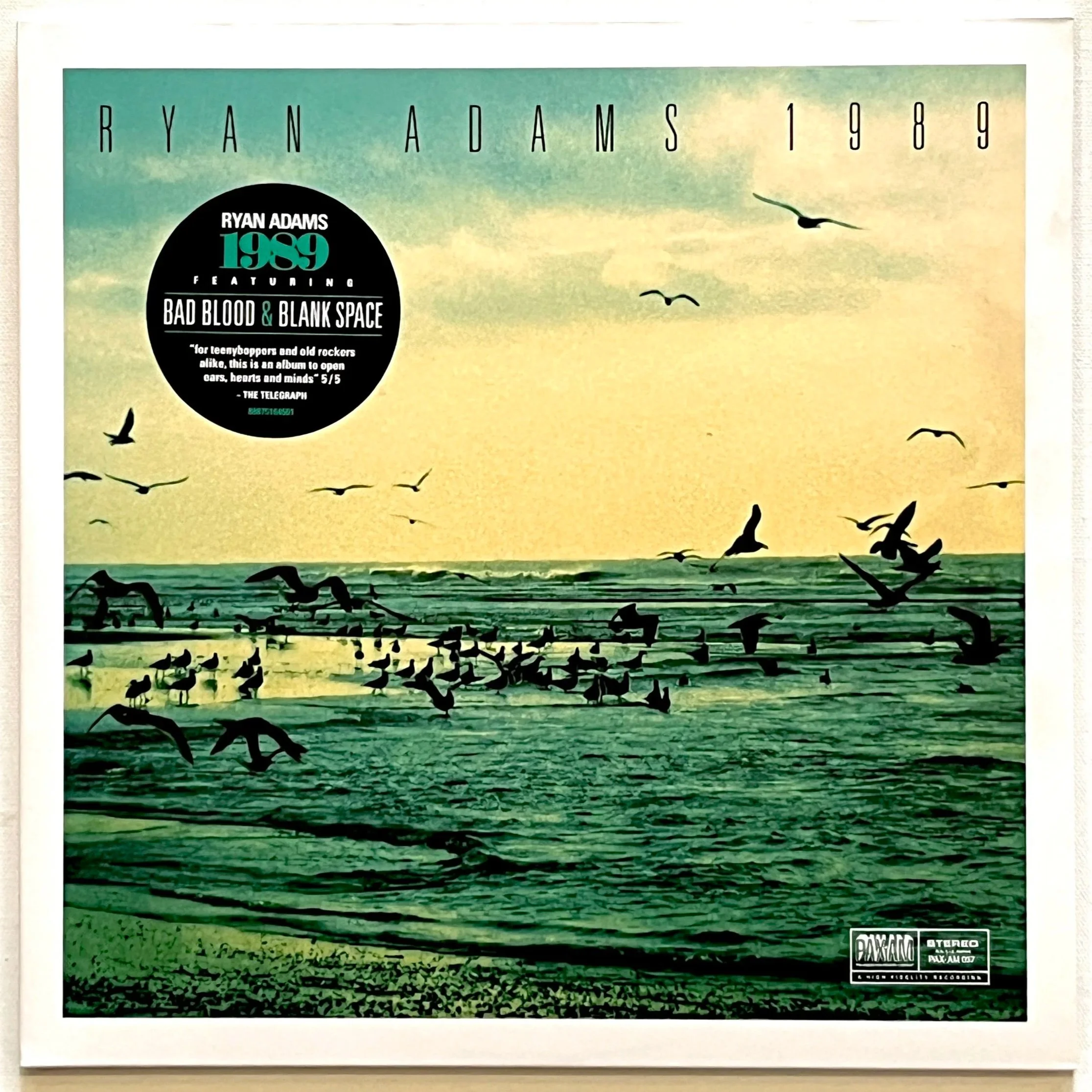 Ryan+Adams+1989.jpg