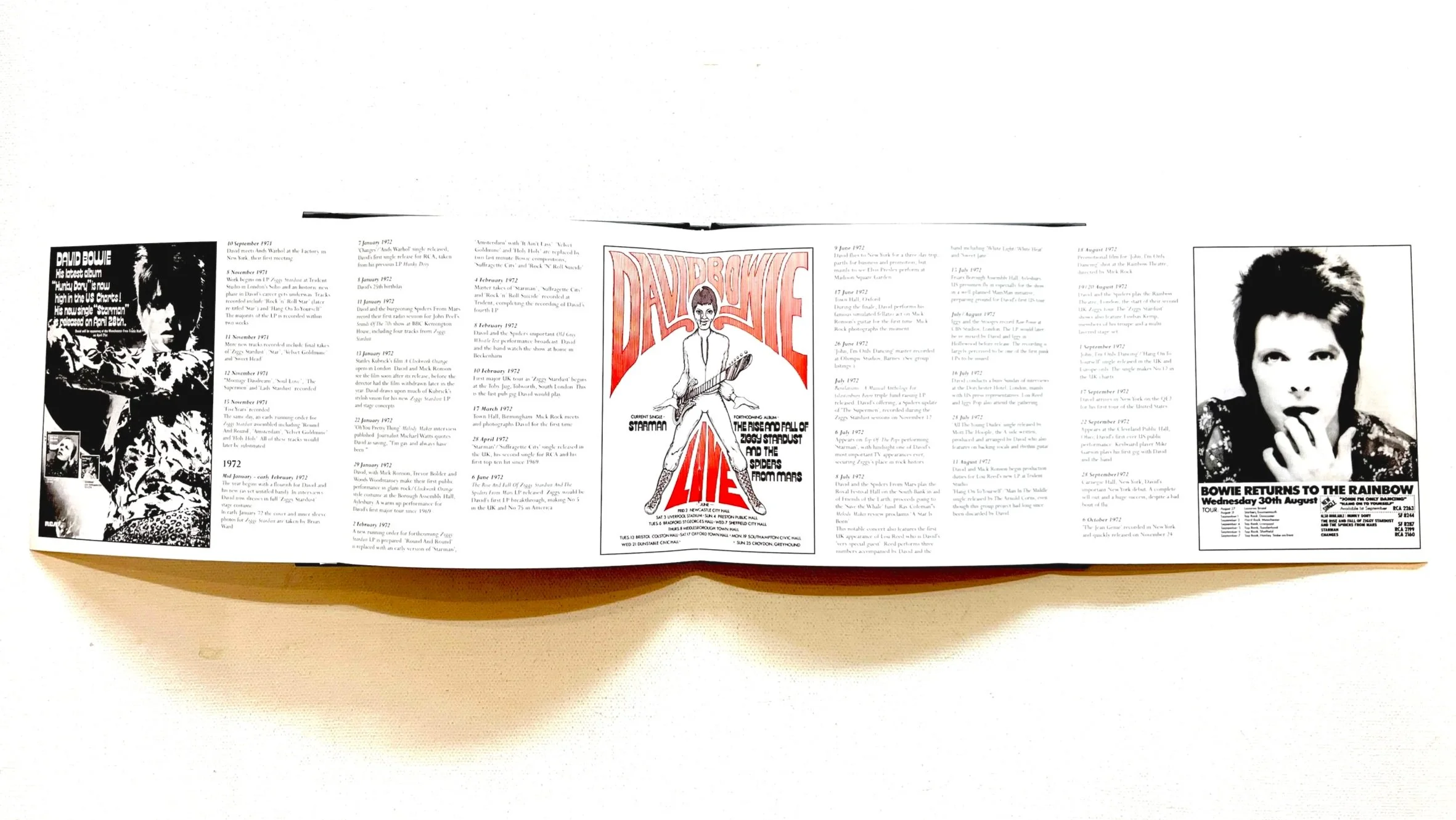 David+Bowie+Ziggy+4.jpg