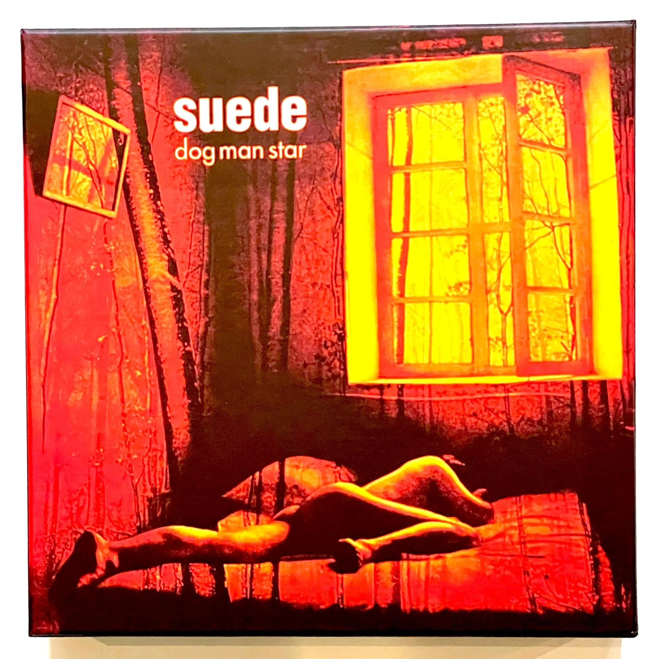 SUEDE ~ Dog Man Star (Super Deluxe Box Set) — Taste Merchants