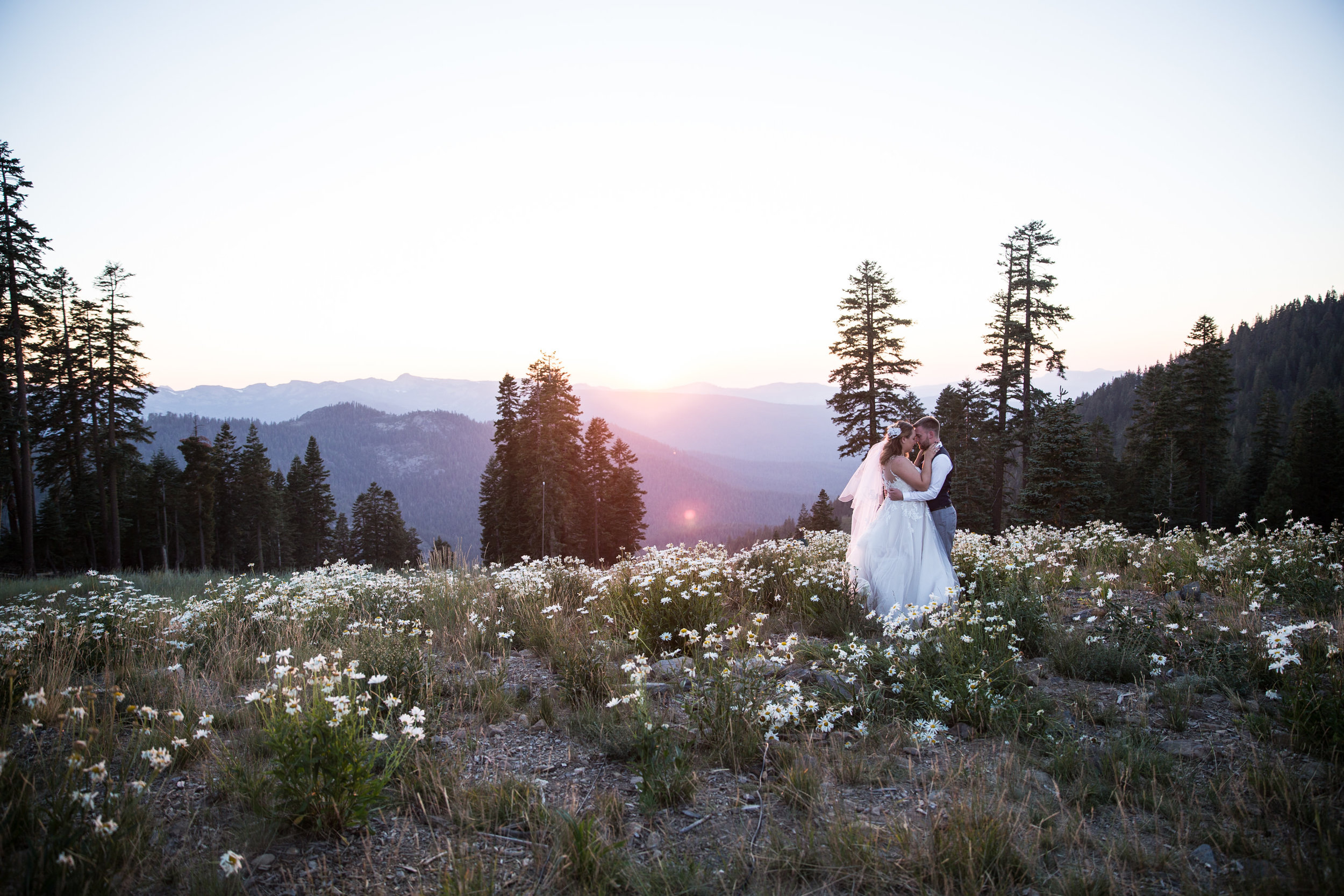 Aime and Cedric Smith Wedding 1502.jpg